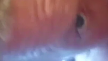 An Intense Orgasm From a Blowjob Cum in Mouth