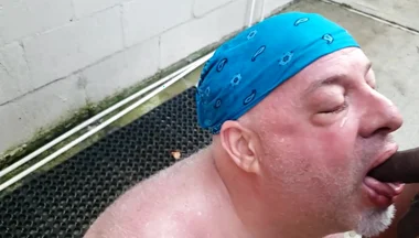 Bear Gets Pissed on by BBC