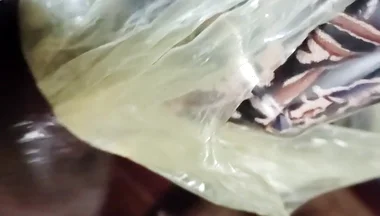 Me Fucking