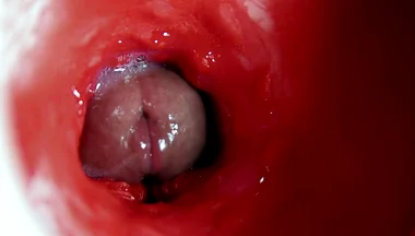 A Big Beautiful Cock Flows Abundantly Inside a Wet Slippery Hole and Smacks!