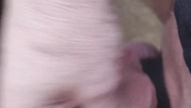 My Friend Sits in a Chair and Jerks His Cock While Watching the Video Until He Orgasms
