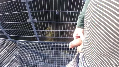 I'm Edit on My Foreskin Cock Outside on a Very Public Observation Tower by a River.
