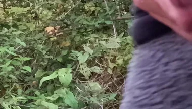 Moaning Squirting Cumshot Wanking in the Woods Wearing Onesie