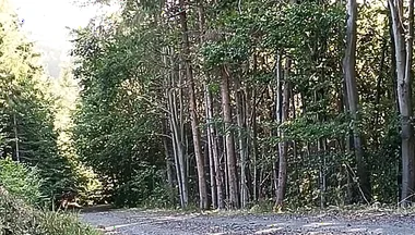 Scooter Rider Outdoor Masturbation