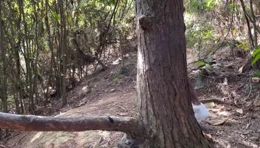 A Curious Heterosexual Boy Saw Me Masturbate in the Forest and We Ended up Fucking