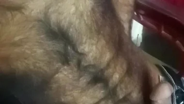 Hairy Gay