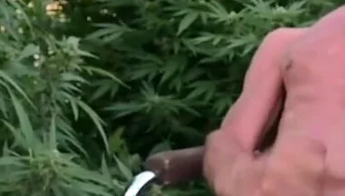 Cumshot Outdoors