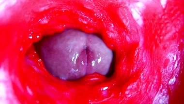 Extreme close-up ASMR head inside wet pussy