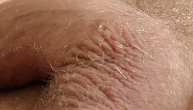 The Peach Scene