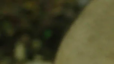 Caveman Sex