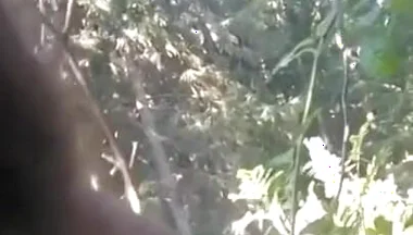 Pissing in My Backyard