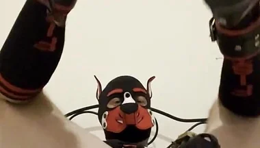 Gaping Gay Puppy Ass After Heavy Fisting Night