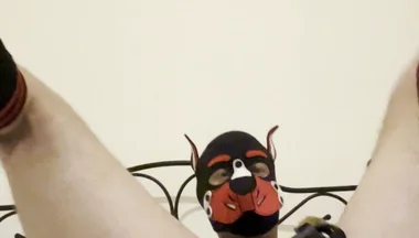 Gaping Gay Puppy Ass After Heavy Fisting Night