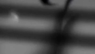 Lying with the Devil - Bara Yaoi