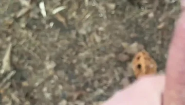 Solo Jerking off