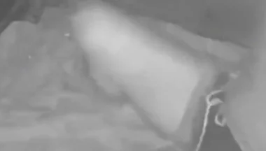During His Jog, a Guy Discovers a Young Camper and Submits Him - Caught on Night Vision Cam