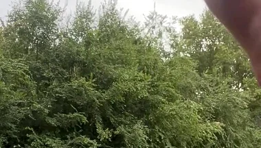 Jerking in the Woods