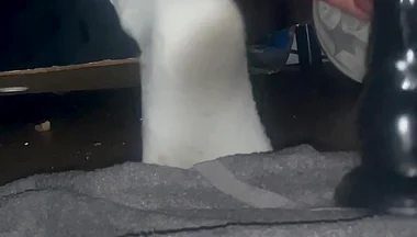 Tangaboy Stops the Asshole