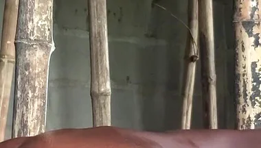 Bang That Slime Fit Bussy in the Wood After Some Blowjob