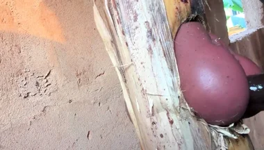 The Prisoner Find Hard Way to Sex