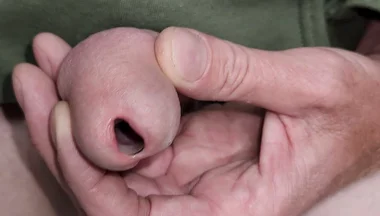 Urethral Toys and Gaping Pee Hole While Urinating