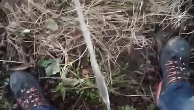 Pissing