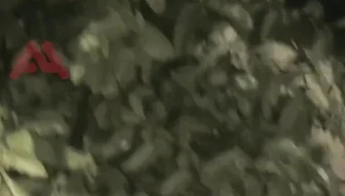 Amateur Boy Sucks a Guy He Found Jerking-off in the Street