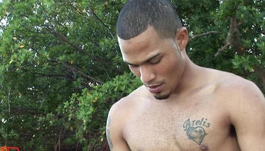 Ice King