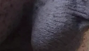 Come See My Hairy Huge Balls