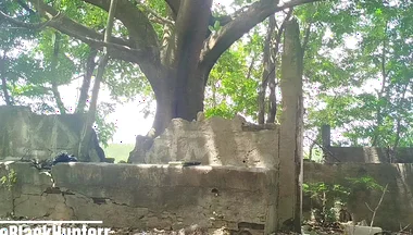 Masturbating in the Park
