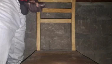 A Nice Black Cock in Need of a Good Blowjob