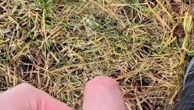 A Bit Risky Peeing - POV Outdoor Male Pee During a Nature Walk