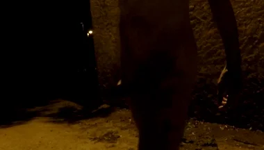 Crusing in a Park at Night - Getting Naked 2