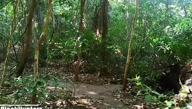 Cumming in the Park