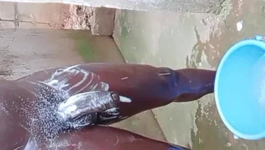 Wow Big Dick Workouts Experience