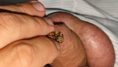 Hammering How Many Screws the Penis Can Hold.