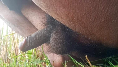 My New Hot Dick's Video in the Jungle.