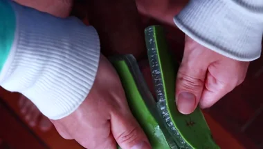 Using Aloe Vera as a Fleshlight