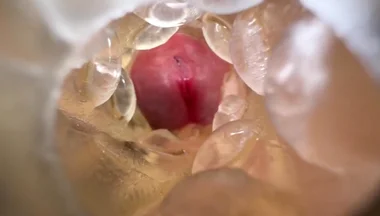 Huge Creampie with Internal View While Fucking Fleshlight, Moaning and Dirty Talking