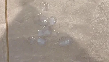 My Mate Watched My Jerk off and Cum in a Busy Supermarket