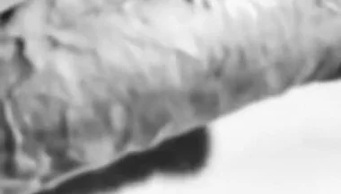 Revealing My Big White Hard Cock