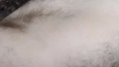 Thick Hairy Bear Tops Trade Sloppy Head and Cum