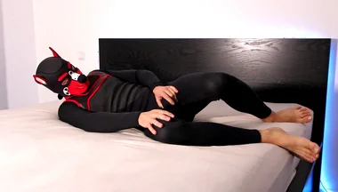 Horny Neoprene Puppy Humping and Teasing Himself