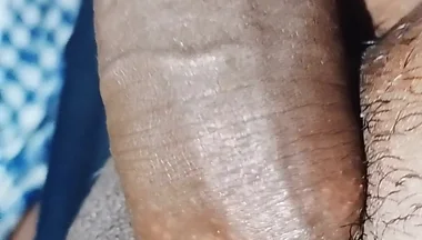Penis