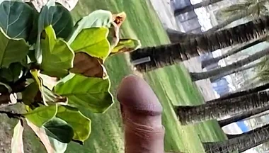 Public Beach Cock Flash