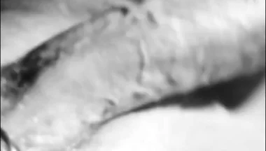Unleashing My Hard Cock!