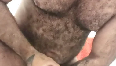 Hairy Bear