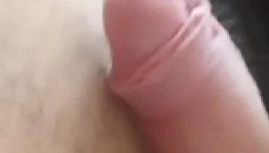 Penis