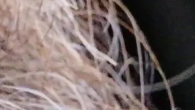 Kissing, Spitting on and Fucking My Stunt Mouth