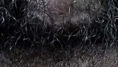 Hide and Seek Play